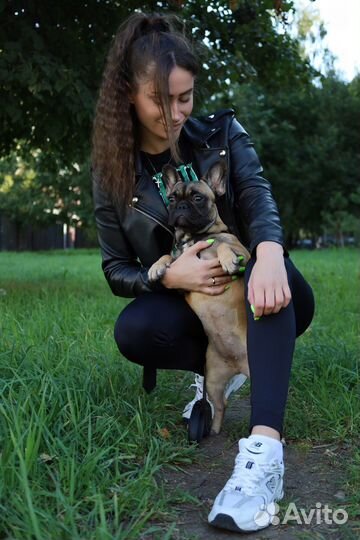 Передержка собак / Передержка кошек / Догситтер