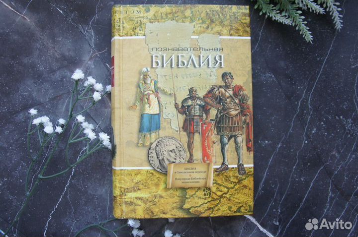 Познавательная Библия в Синодальном переводе