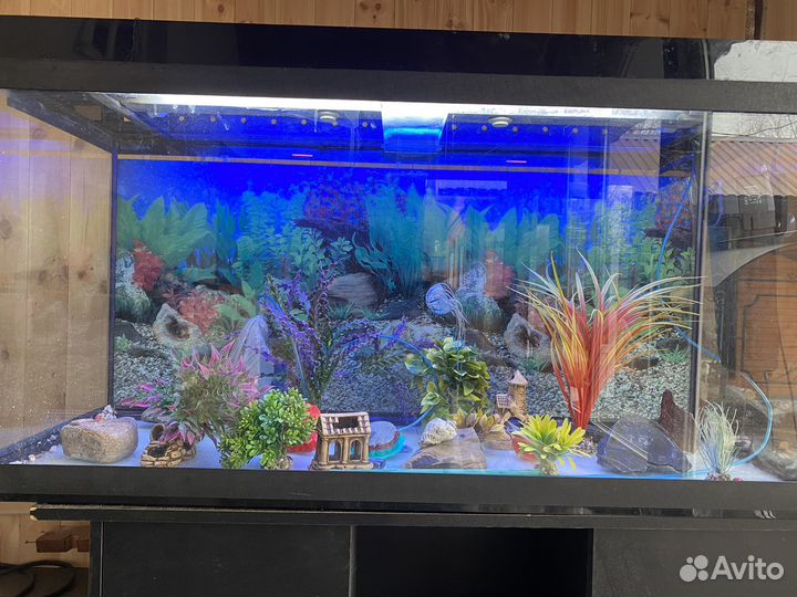 Аквариум с тумбой 200 л