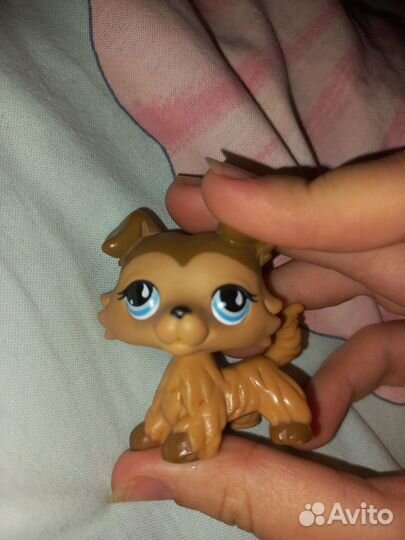 Littlest Pet Shop /lps/ лпс