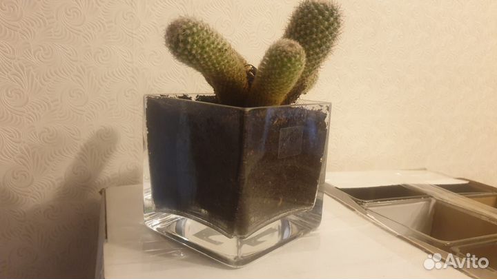 Ваза пр-ва Голландия для декора, интерьера, цвето