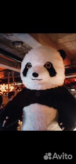 Поздравление BIG панда