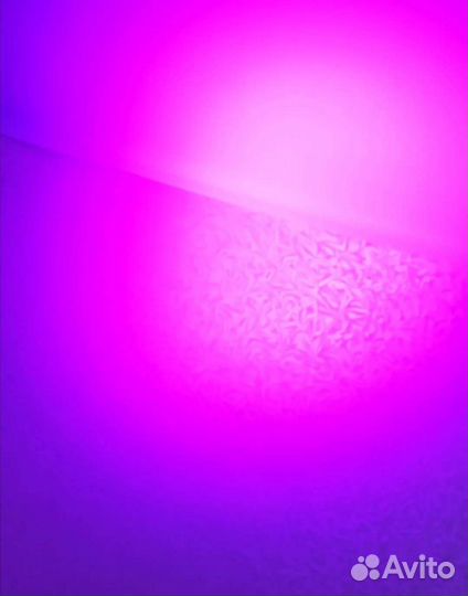 Светомузыка Стробоскопы Прожекторы LED PAR 24x12W