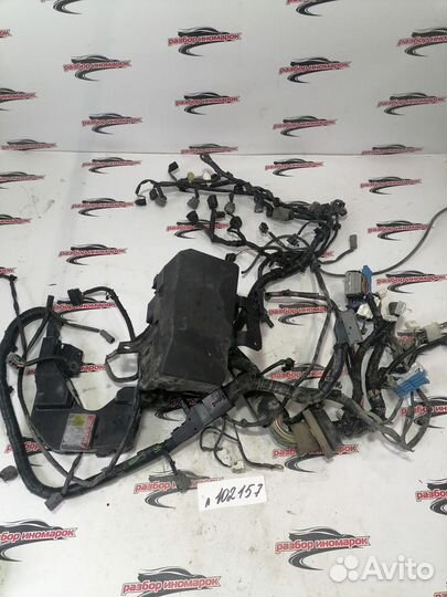 Проводка (коса) Mazda 6 2.0 GH