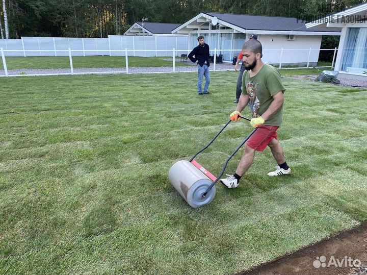 Рулонный газон теневыносливый