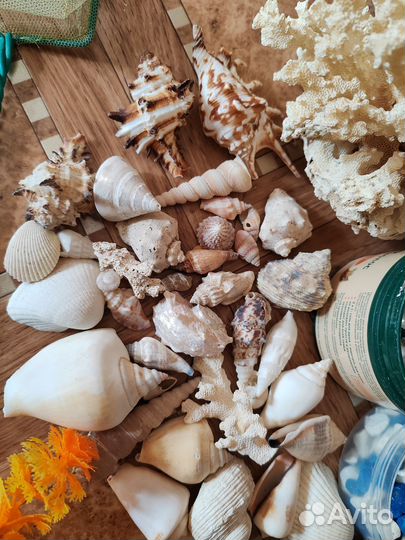 Набор для аквариума