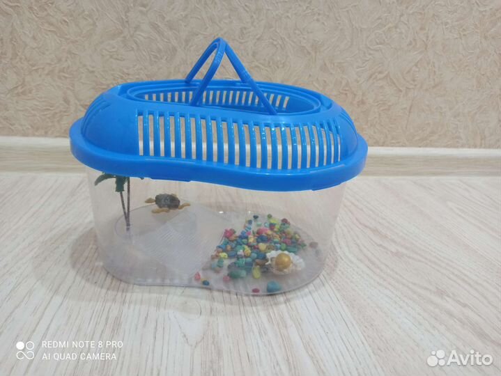 Аквариум-переноска для черепахи,наполнение аквар