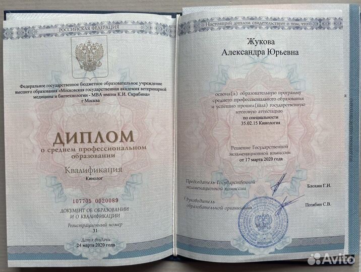 Услуги кинолога
