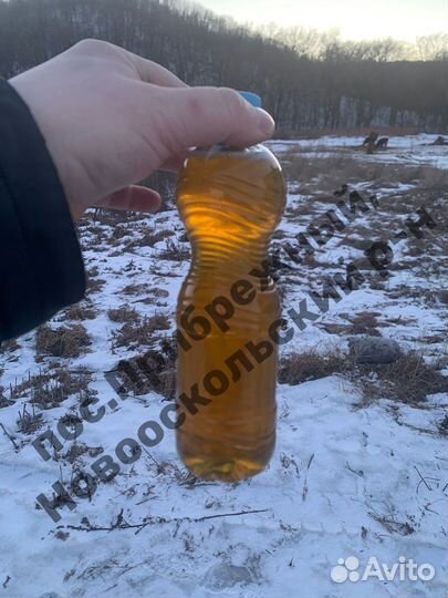 Масло подсолнечное нерафинированное оптом