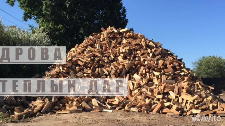 Дрова сухие