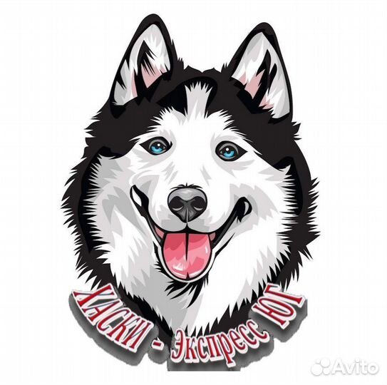 Водитель категории B,D