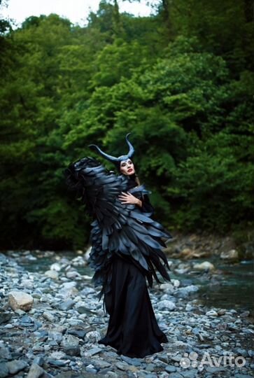 Крылья черные