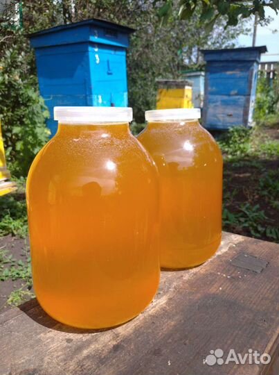 Мёд свежий 2023года