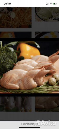 Перепелиное мясо и яйцо