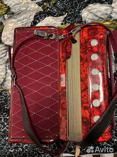 Аккордеон horch