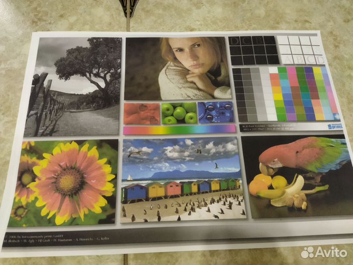 Цветной мфу epson l3100 с снпч