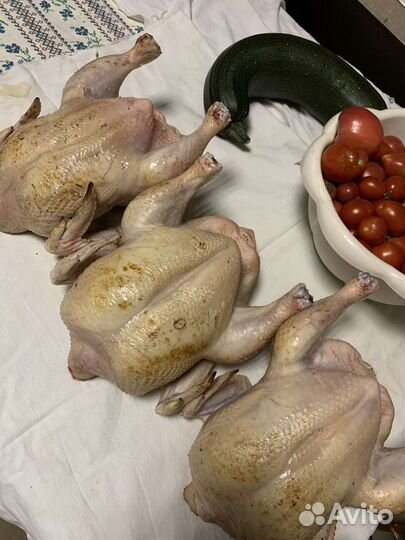 Мясо домашнего бройлера