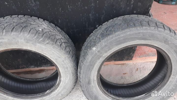 Tunga Nordway 195/65 R15 31N