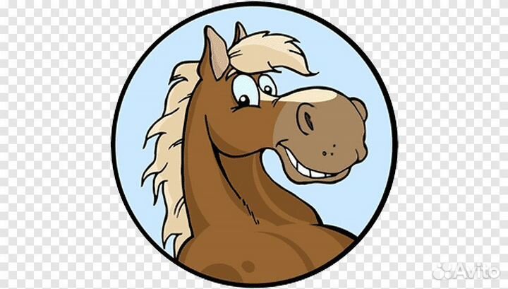 Мясо конина с Байкала