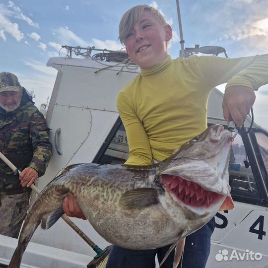 Морские прогулки на катере