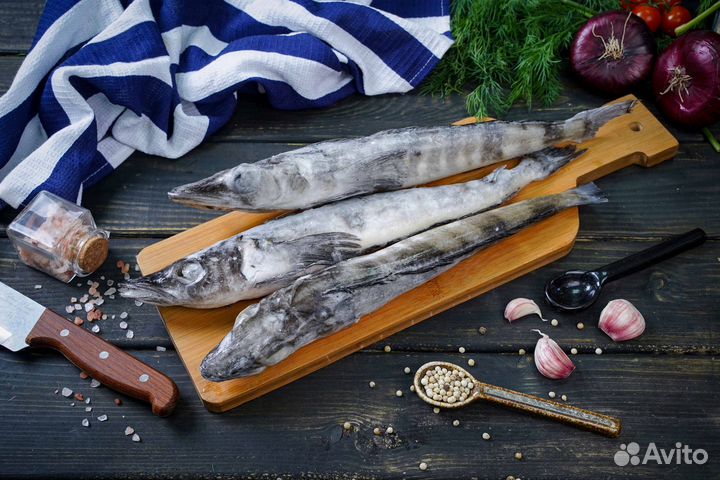 Ледяная рыба