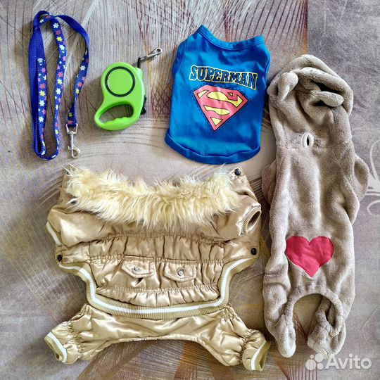 Одежда и аксессуары для собак мелких пород