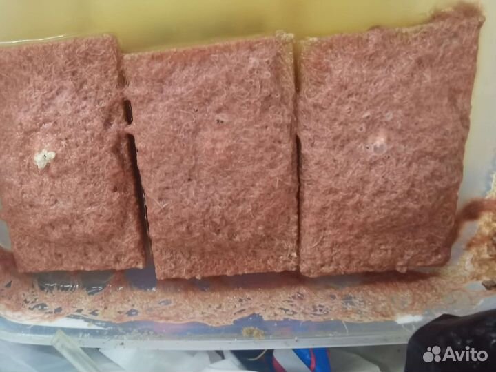 Корма для рыбок