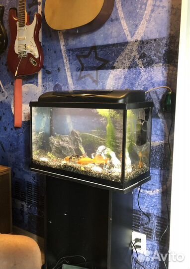 Аквариум с тумбой