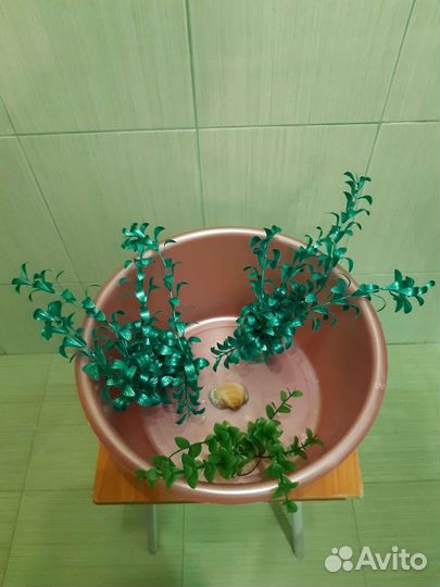 Искусственные водоросли