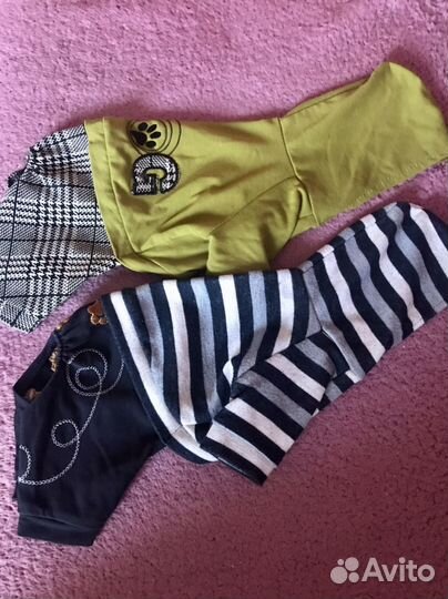 Одежда для маленьких собак