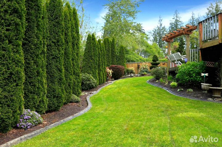 Укладка и продажа газона