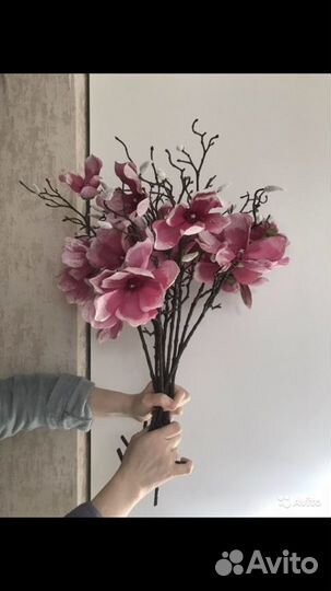 Декоративные цветы