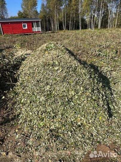 Дробилка, измельчитель дерева аренда в Москве