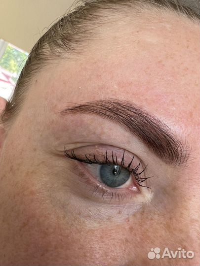 Мастер бровист