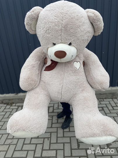 Большой Плюшевый медведь