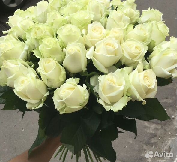 101 роза 51 роза Цветы