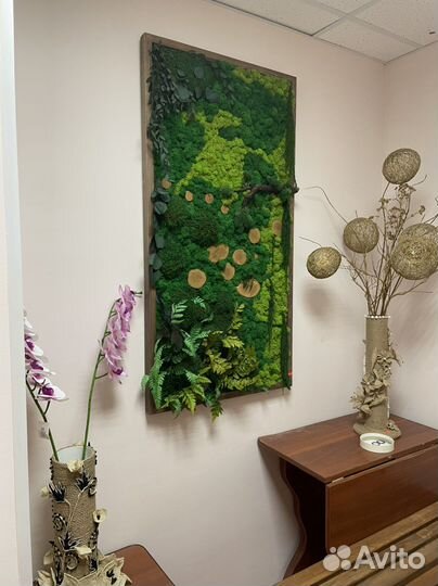 Стабилизированный мох