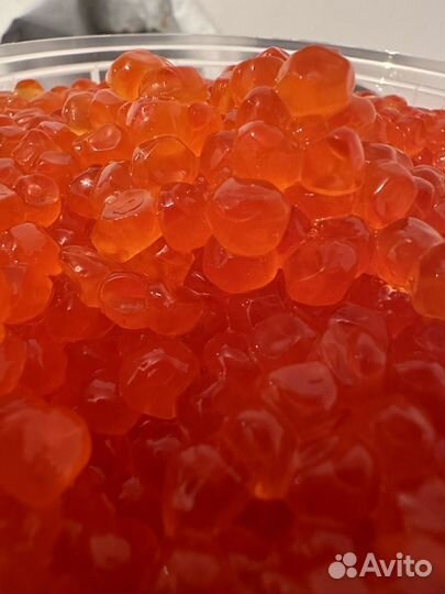 Икра Кеты,тунайча