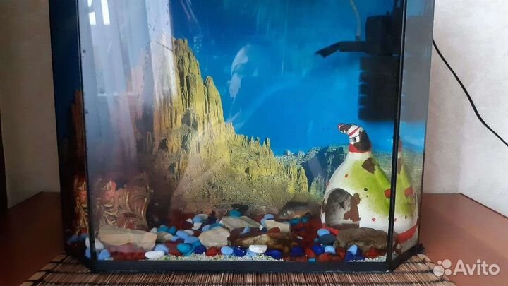 Аквариум и новый компрессор