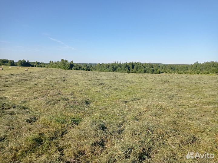 Сено в рулонах