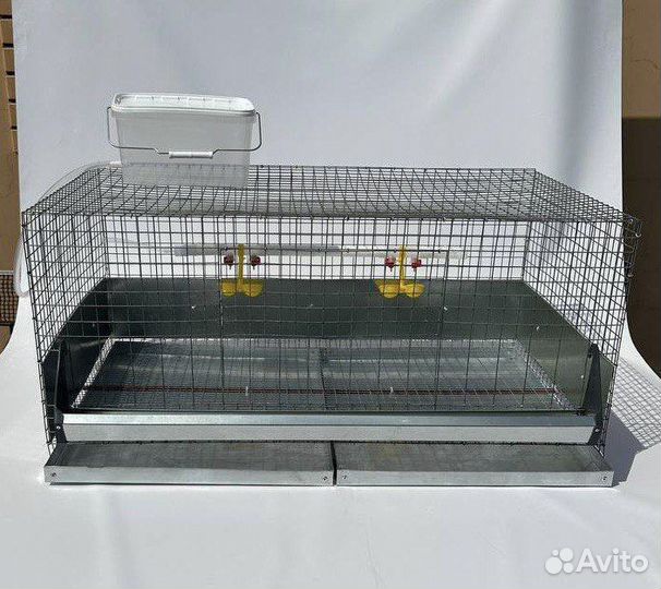 Клетки для кур бройлеров