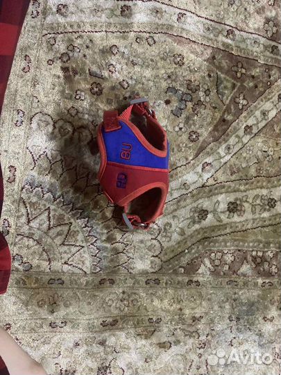 Переноска и одежда для маленькой собаки