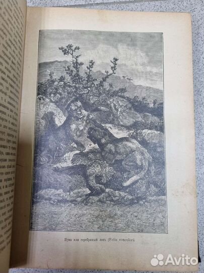 Книга Жизнь животных А.Э.Брэм. 1902