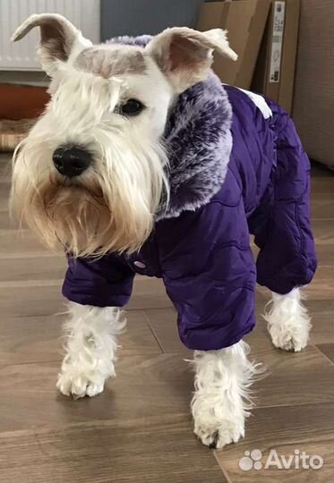 Новый зимний комбинезон 