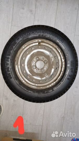 Matador MP 11 175/70 R13