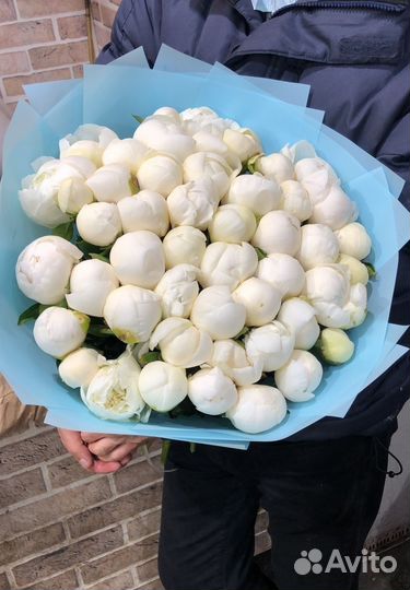 Пионы Букеты Цветы