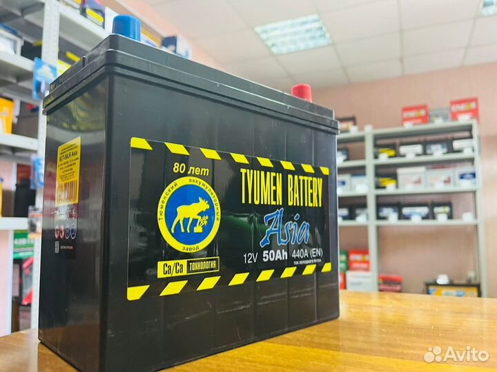 Аккумулятор 12V Тюмень Asia 50Ач Для Nissan Leaf