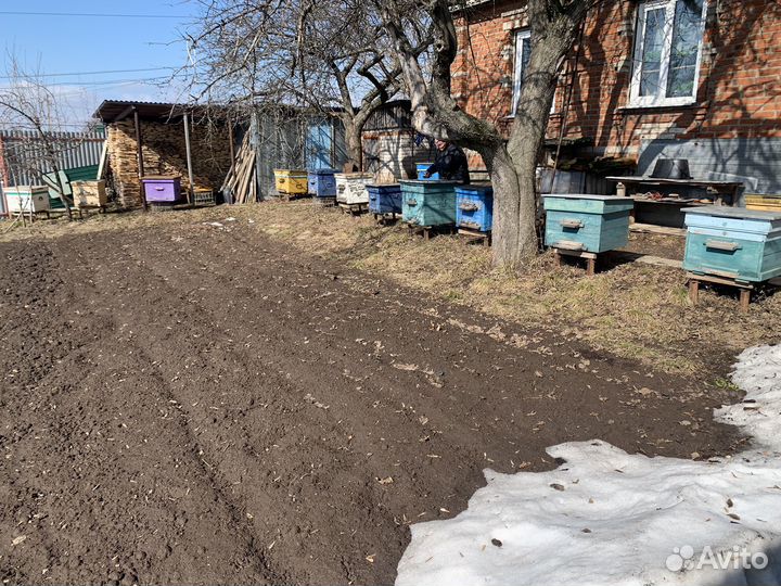 Продаю Ульи