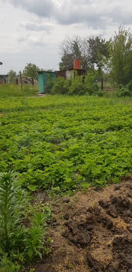 Дом 18 м² на участке 6 сот.