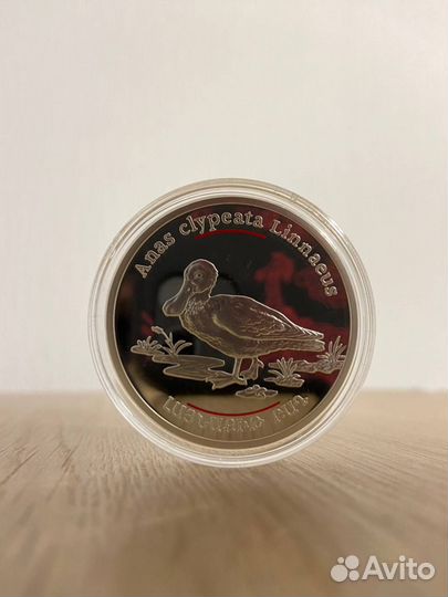 Монета 100 драм 2007 Утка Широконоска